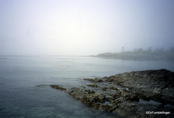 Louise Island, Haida Gwaii, Skedans Village, with fog