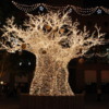 Johannesburg, Sandton Shopping Center: Lights arranged as a baobob
