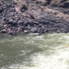 Zambezi River Gorge.: The "Boiling Pot".  A popular white water rafting and kayaking river.