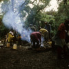 Camp I, in the rainforest on the lower slopes of Mt. Kilimanjaro