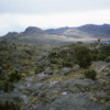 View of the Shira Plateau, Mt. Kilimanjaro