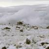 Fresh snow!  Dawn on Sheffield Camp, Mt. Kilimanjaro