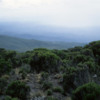 Moorland, on the descent of Mt. Kilimanjaro