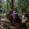 Jungle, on the descent of Mt. Kilimanjaro