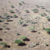 Serengeti National Park viewed from the air