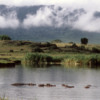 Hippo pool, Ngorongoro Crater, Tanzania