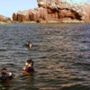 Snorkeling at the Sea Lion Rookery, Los Islotes, Sea of Cortez