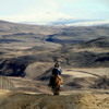 Going for a horseback ride, South Iceland