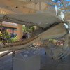 Whale skeleton at Whaler's Village. Lahaina, Maui
