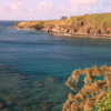 Honolua Bay, Maui: A great place to snorkel