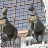 Venice -- St. Mark's cathedra: The elegant bronze horses were bootie. These are copies but the originals are in a museum inside of the church. They are thought to be over 2000 years old.