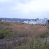 Steam Vents, Kilauea Crater, Volcanoes National Park: The flowers blooming in the left foreground are orchids