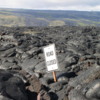 "Road Closed", Chain of Craters Road, Volcanoes National Park: I just love the irony of this photo!