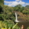 Hilo -- Rainbow Falls: A beautiful waterfall in a beautiful setting, on the northern outskirts of Hilo