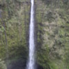 Akaka Falls State Park, Hawaii: The fall drops over 400 vertical feet!