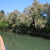 Torcello -- canal: When you leave the vaparetto you walk along a canal towards the old church