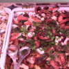 Padova -- Fish Market: The octopus salad was wonderful!