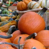 Harvest display, Byward Market, Ottawa, Ontario, Canada: I enjoyed these colorful display of pumpkins and squashes