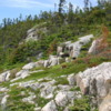Saguenay Fjord -- Granite and weathered pines