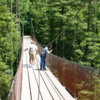 Quebec -- St. Anne Canyon: One of several suspension bridges over the canyon
