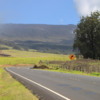Road to Haleakala National Park: This is in UpCountry Maui, before the park entrance but already a distance up the mountain