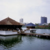 Colombo - Gangarama Temple, Beira Lake: A very lovely setting on this lake. On oasis in the hustle and bustle of Colombo