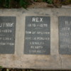 Epitaph to Sir Arthur's pets, Colombo: Arthur loved his pets dearly and was heart broken at their passing. A frequent theme in his writing was the unfairness of our pets relatively short lives when compared to our own.