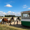Ice cream horses at Winstone's van: Even horses need an ice cream sometimes....