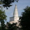 Anuradhapura -- Ruwanweli Seya Stupa: A massive and beautiful structure towering above the tree line.