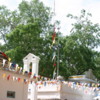 Anuradhapura -- Bodhi tree: Many prayer flags decorate the plaza