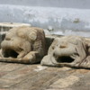 Anuradhapura -- Thuparama Dagoba: Two ancient carved lions