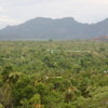 Dambulla -- View from Entrance: The lush jungle and foothills of the central mountains are visible
