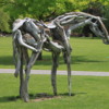 Walla Walla -- Whitman College: A rather interesting sculpture, a horse made of driftwood. We'd seen another by this artist in Portland before.