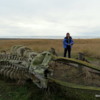 Gray whale skeleton, Long Beach, Washington: Gray whale on the Discovery Trail.  The whale washed up nearby about a decade ago, dying of natural causes.