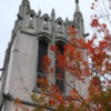Seattle -- University of Washington Fall Colors