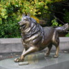 Seattle -- University of Washington Husky Mascot