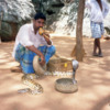 Sigiriya -- Snake charmer: Cobra and a boa
