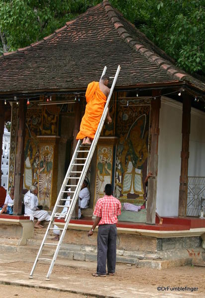 Monk on a ladder, Kandy, Sri Lanka