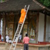 Monk on a ladder, Kandy, Sri Lanka