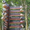 Singapore Zoo signage