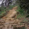 Trail to Adam's Peak: As you can see, many of the stairs are cracked and broken. You must be cautious as you ascend
