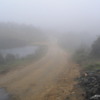 Horton Plains -- the road into the park: In the morning the mist up here was thick and it was quite cool. For several hours the mist would wax and wane.