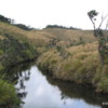 Horton Plains -- creek and grassland
