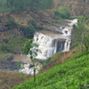 Hill Country -- St. Clair waterfall: A tea plantation is seen in the foreground.
