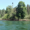 Lower Spokane River -- Osprey nest on river bank