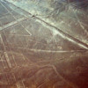 Nazca lines, Peru.  Aerial view of geometric shapes and a spider
