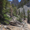 Great Basin National Park -- Bristlecone Pines: Glacier Trail winds it way towards the remains of Nevada's last Glacier.