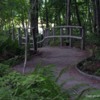 Footbridge in Rachel Carson refuge