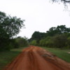Road into Yala National Park