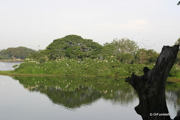 Tissimihara --Bird Island